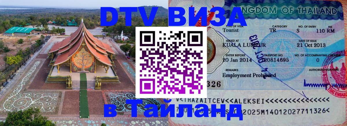 Оформление DTV визы под ключ: стоимость и тарифы, только загранпаспорт - 